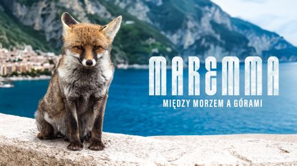 Maremma. Między morzem a górami
