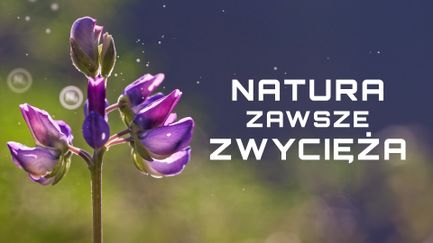 Natura zawsze zwycięża
