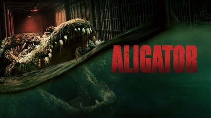 Aligator