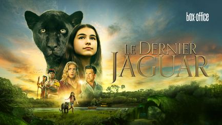 Le Dernier Jaguar