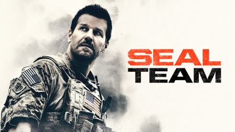 SEAL Team