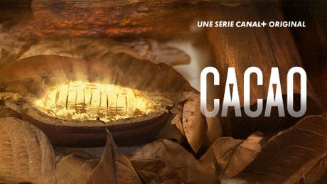 Cacao
