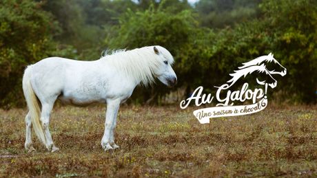 Au galop !
