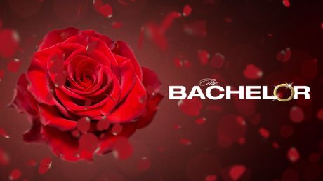 The Bachelor