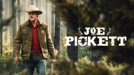 Joe Pickett