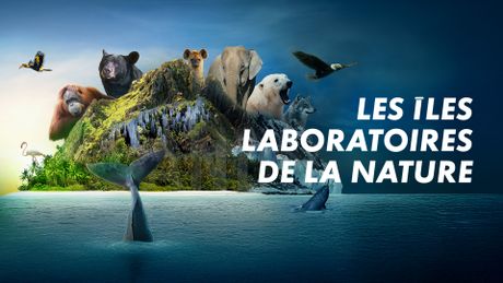 Les îles, laboratoires de la nature
