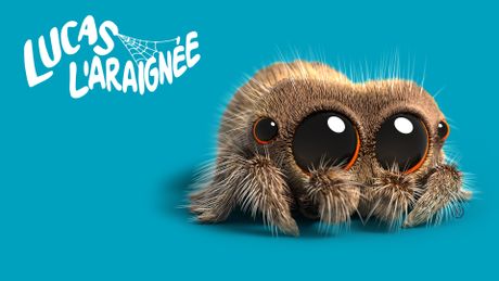 Lucas l'araignée