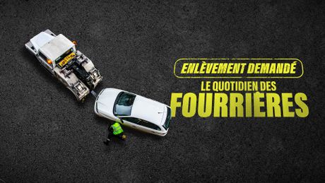 Enlèvement demandé : le quotidien des fourrières