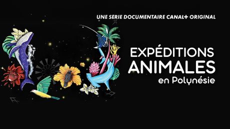 Expéditions animales en Polynésie