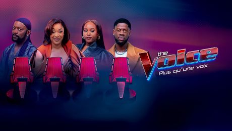 The Voice : plus qu'une voix
