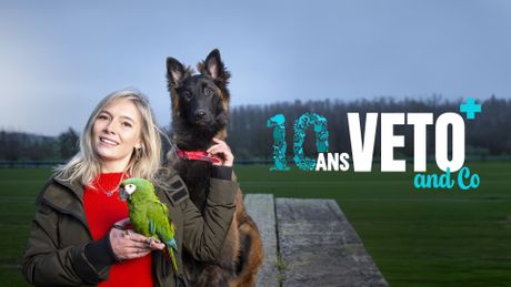 Véto & Co