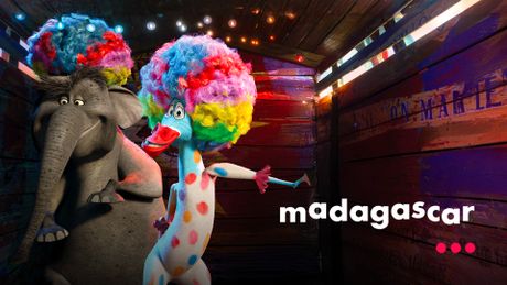 Collection Madagascar