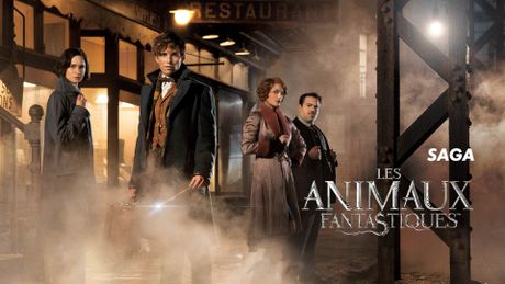 Saga Les Animaux Fantastiques