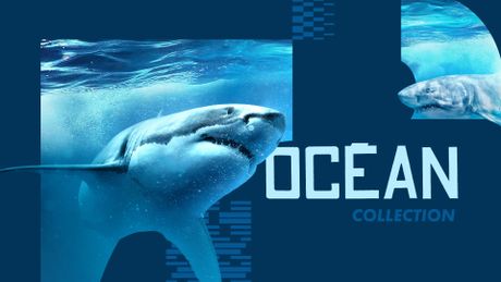  Océans
