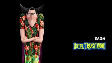 Saga Hôtel Transylvanie