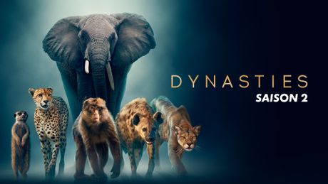 Dynasties - Saison 2