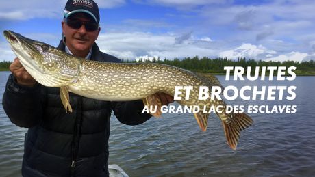 Truites et brochets au Grand Lac des Esclaves