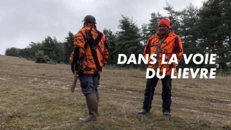Dans la voie du lièvre