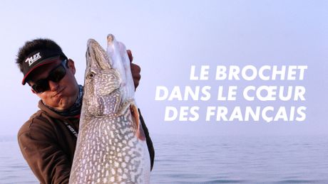 Le brochet dans le cœur des Français