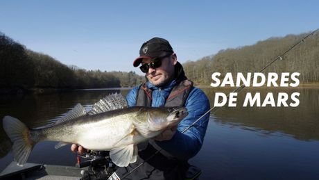 Sandres de mars