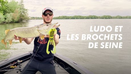 Ludo et les brochets de Seine