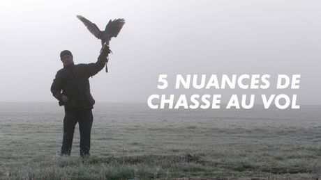 5 nuances de chasse au vol