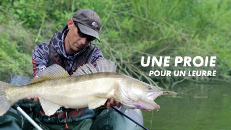 Une proie pour un leurre