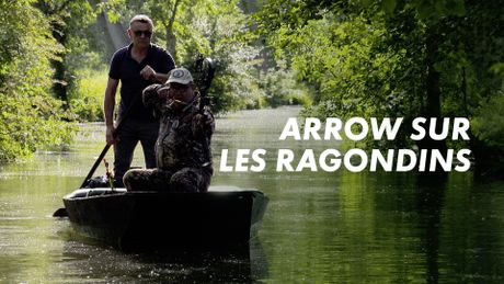 Arrow sur les ragondins