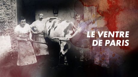 Le ventre de Paris