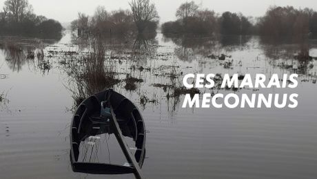 Ces marais méconnus