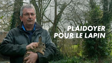 Plaidoyer pour le lapin