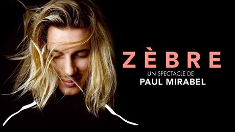 Paul Mirabel : Zèbre