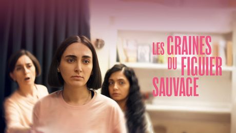 Les Graines du figuier sauvage