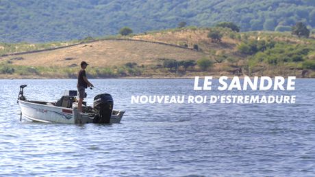 Le sandre, nouveau roi d'Estrémadure
