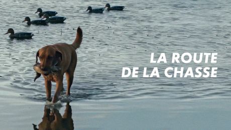 La route de la chasse