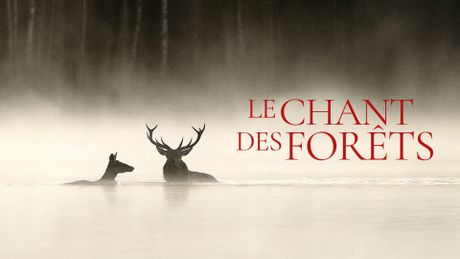Le Chant des forêts