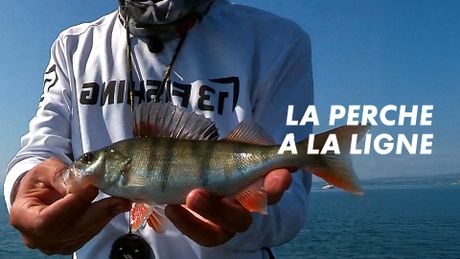 La perche à la ligne