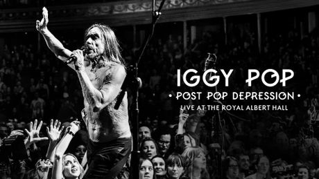 Iggy Pop : Post Pop Depression