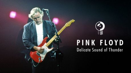 Pink Floyd: Delicate Sound of Thunder