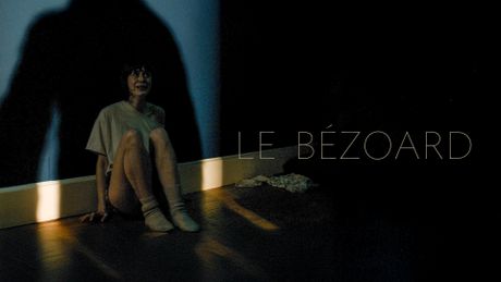 Le bézoard