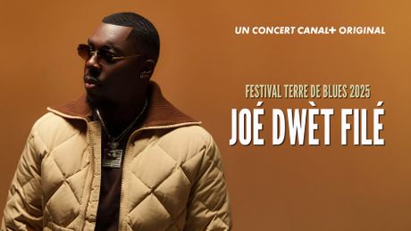 Festival Terre de Blues
