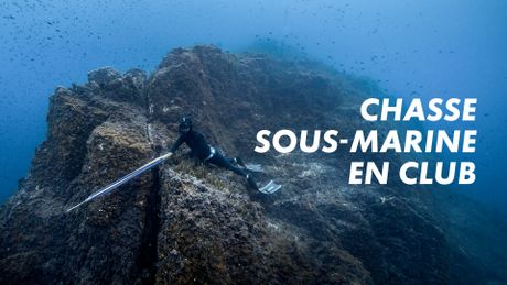 Chasse sous-marine en club
