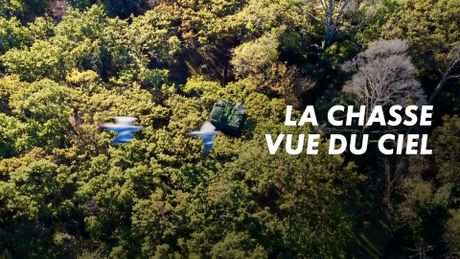 La chasse vue du ciel