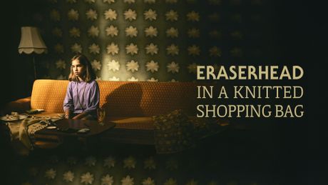 Eraserhead in a Knitted Shopping Bag