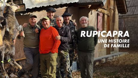 Rupicapra, une histoire de famille