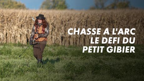 Chasse à l'arc, le défi du petit gibier
