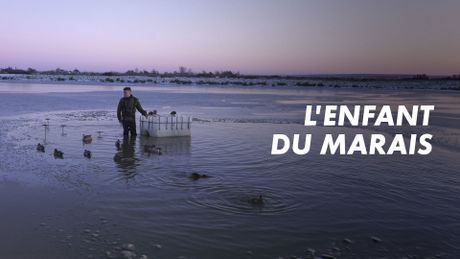 L'enfant du marais
