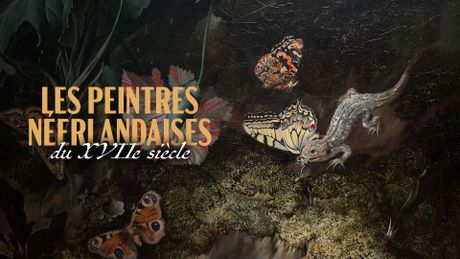 L'art et la nature : Peintres néerlandaises du XVIIe siècle