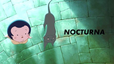 Nocturna, la nuit magique