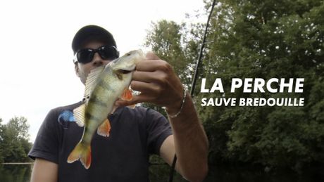 La perche sauve-bredouille